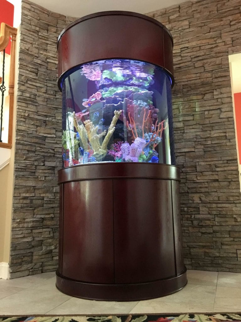 Saltwater Aquarium Services Baltimore Maryland