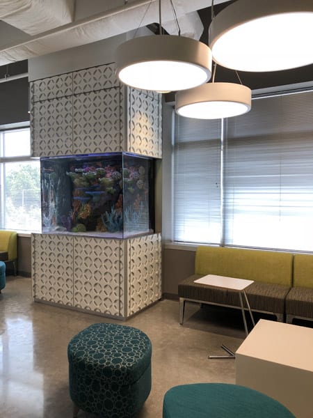 Custom Aquarium Installations