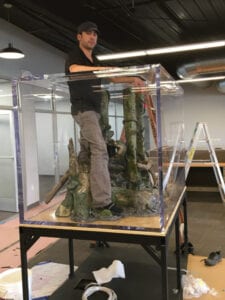 Aquarium Installation