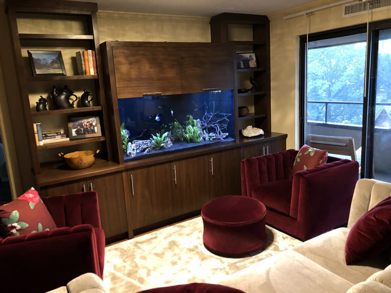 Freshwater Aquarium Services