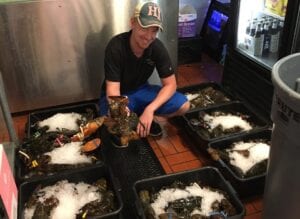 Lobster Tank Installations