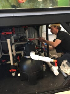 Aquarium Installation Services