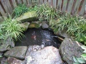 Pond Installations